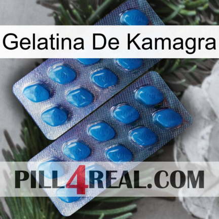 Kamagra Jelly viagra2